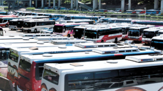 [사진] 신종 플루에 발 묶인 관광버스들