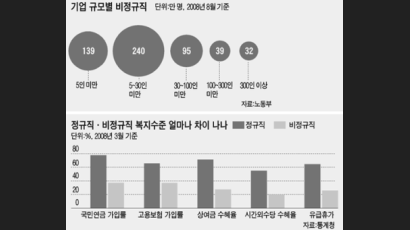 비정규직 33% 편법으로 계속 일해…당정, 현실 반영해 ‘제3의 길’ 모색