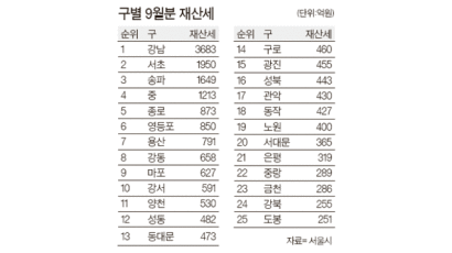 [구구동동] 강남구 재산세 도봉구의 14.7배