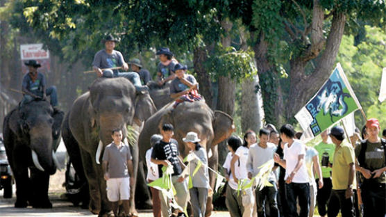 [사진] 온난화 대책 촉구 코끼리 행진