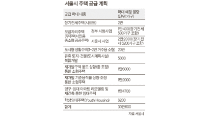서울 재개발 아파트 용적률 20%P 올린다