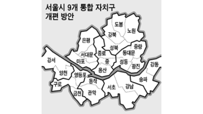 “서울 25개 구, 인구 100만 9개로 통합을”