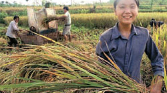 [CHINA] ‘기계화+과학 영농’ 기업형 농작 늘어