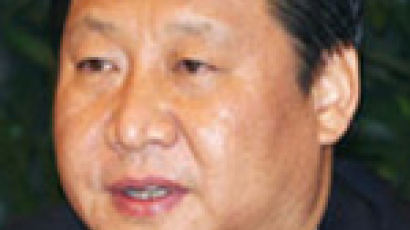 시진핑 “공산당 내 권력 집중 막아야”