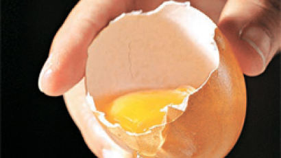 ‘껍데기 없는 날달걀’ 살균·세균검사 없이…연 5억 개, 빵·과자 원료로