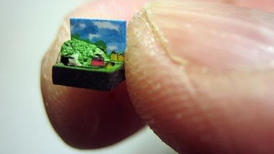 [사진] 세계에서 가장 작은 기차 모형