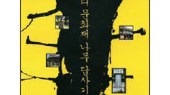 [깊이읽기 BOOK] 나이테에 새긴 역사의 상처, 문화재가 된 나무들