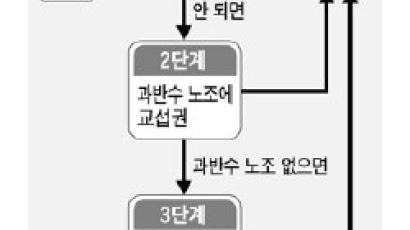 “복수노조 교섭창구, 3단계로 단일화”