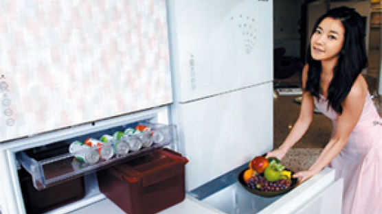 현대의 김장독, 김치 냉장고