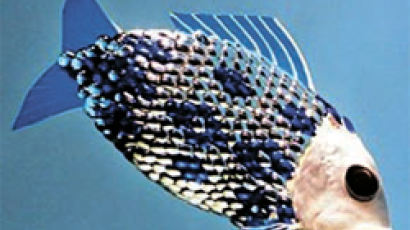 ‘1.5m 로봇 물고기’에 물고기들 놀랄라