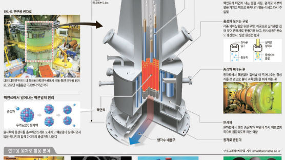 연구용 원자로는 ‘한국형 모델’ … 1000조원 시장 진출 신호탄