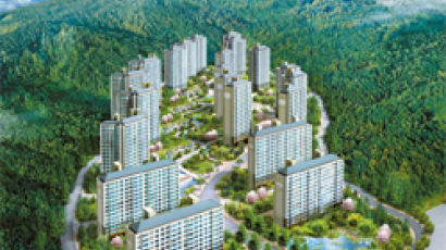 [부동산 전문가들 전망] “아파트 시장, 내년 초 상승곡선 탄다”
