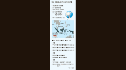 국내 금융회사의 인도네시아 진출 현황과 과제