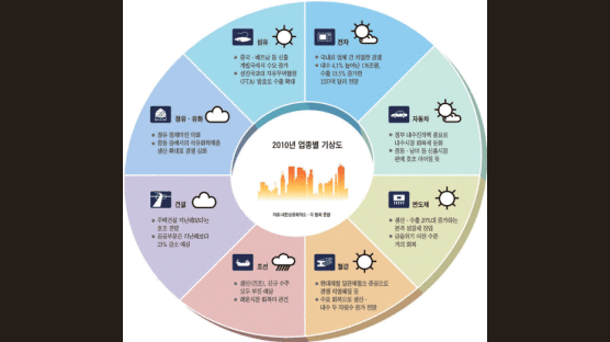 신년 기획 - 2010 업종별 기상도