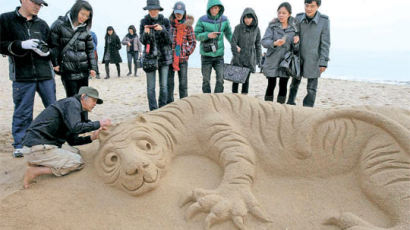 [사진] 모래 호랑이