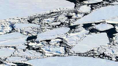 [사진] 두께 1m 남극 얼음 깨는 아라온호