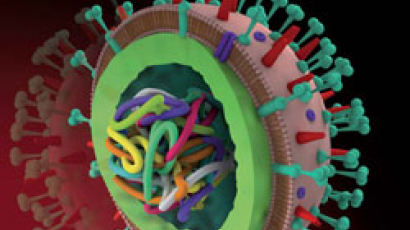 인간 유전자 8% ‘바이러스’에서 들어왔다
