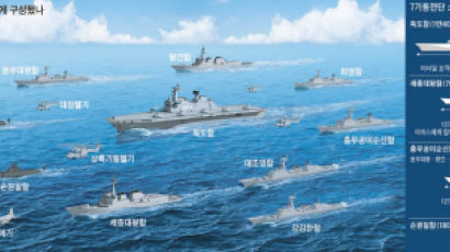 이지스함 2척 + 독도함 + 잠수함 … 해군 첫 기동전단 떴다