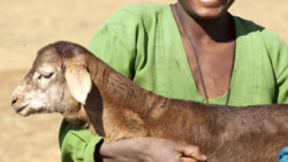 삼소회, 에티오피아 소녀들에 염소 한 마리 기금마련 전시회