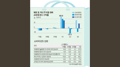 뜨는 이머징 마켓 … 소비재 펀드‘날개’