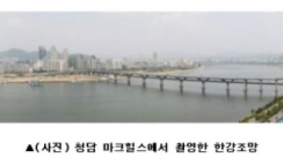 상위 1% 부자가 100억대 초고가 빌라에 사는 이유