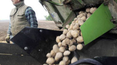 EU, 유전자 변형 감자 재배 허용