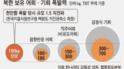 “폭발에 의한 ‘인공지진’ 분명 … 백령도서 이런 관측은 처음”