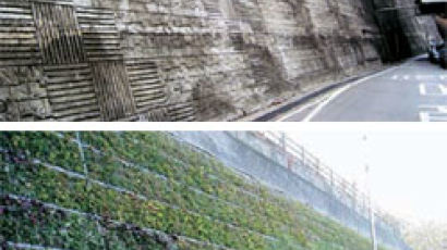 도로변 콘크리트 벽 녹색식물로 단장