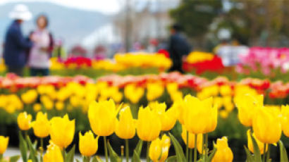 아산 세계꽃식물원, 화사한 봄기운 담뿍 담아가세요