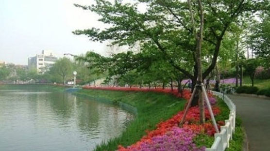 서울 봄꽃길을 가다! '도심속 작은산과 공원'