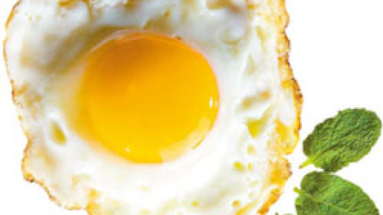 [food&] 알만한 계란 요리, 알차게 익혀볼까