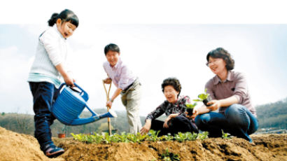 주말농장서 자연을 체험합니다