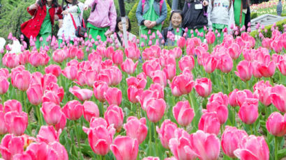 [사진] 우방랜드 봄의 축제