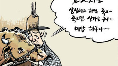 [중앙 만평] 4월 29일