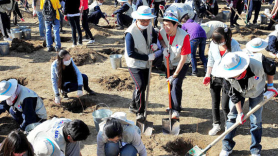 [사진] 몽골에 나무 심는 한국 젊은이들
