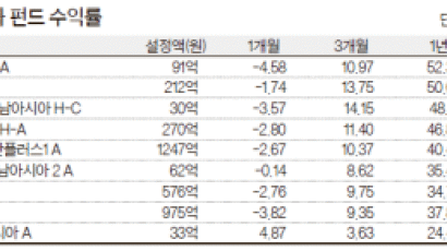 원자재 + IT + 글로벌 금융 ‘일석 삼조’동남아 펀드 튀네