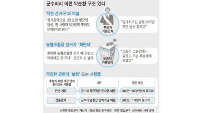 군수 비리 악순환 3곳 … 중앙일보, 돈 선거형 구조 첫 현장 분석