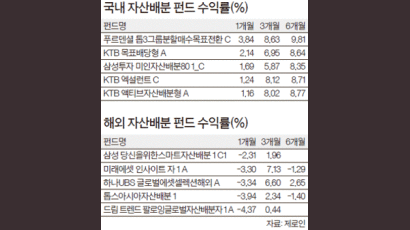 롤러코스터 장세엔 자산배분 펀드가 ‘안전띠’