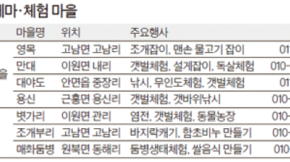 [태안군] 맨손 물고기잡이 해볼까, 바지락을 캐볼까