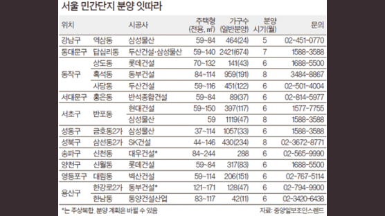 ‘보금자리 휴식’ 틈타 민간 분양 러시