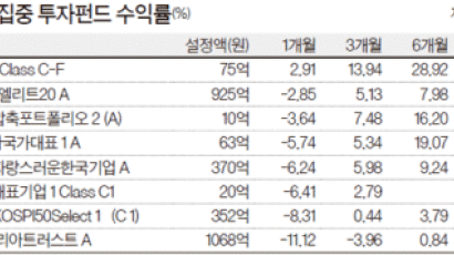 똘똘한 종목‘선택과 집중’… 수익률 쑥쑥