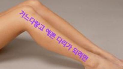 태릉인 종아리가 발레리나처럼 되려면