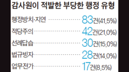 세금 다 냈는데 압류 6년 안 풀어 … 건축물대장 안 보고 보상금 지급 …