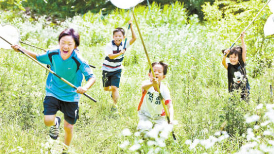 [home&] 암컷 나비는 놓아줘야지~횡성 홀로세생태학교에서 배우는 곤충채집