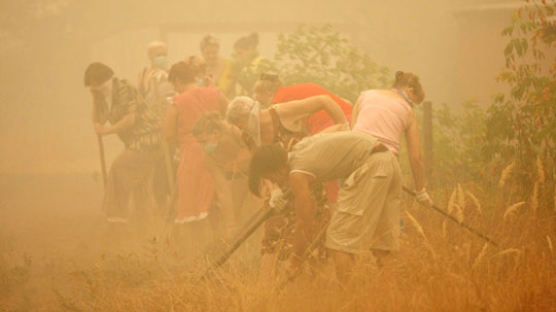[사진] 러시아 산불 진화 안간힘