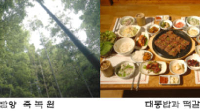 [2010 여름 명소] 대나무의 고장 '담양'으로의 여행
