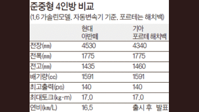 잘 빠졌네, 준중형차들 … 중·대형차 부럽지 않다