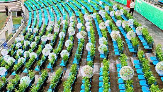 [사진] 디자인 한마당 준비 꽃 단장한 잠실경기장