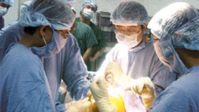 관절 수술 1번지 … 외국 의사들 기술 배우려 앞다퉈 견학