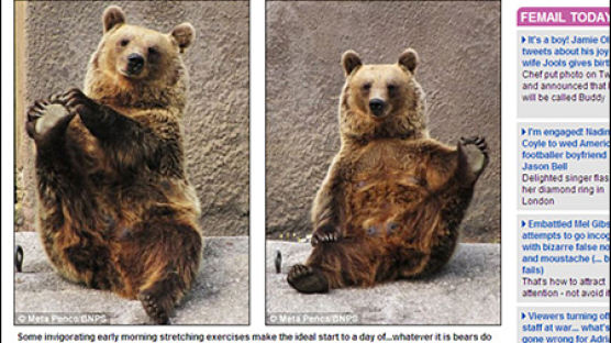 [사진] 요가하는 곰 화제